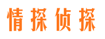 乐安市侦探公司